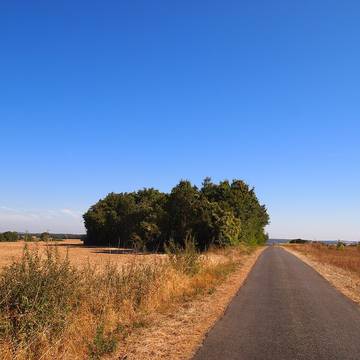 Quatre Tumulis de Tusson